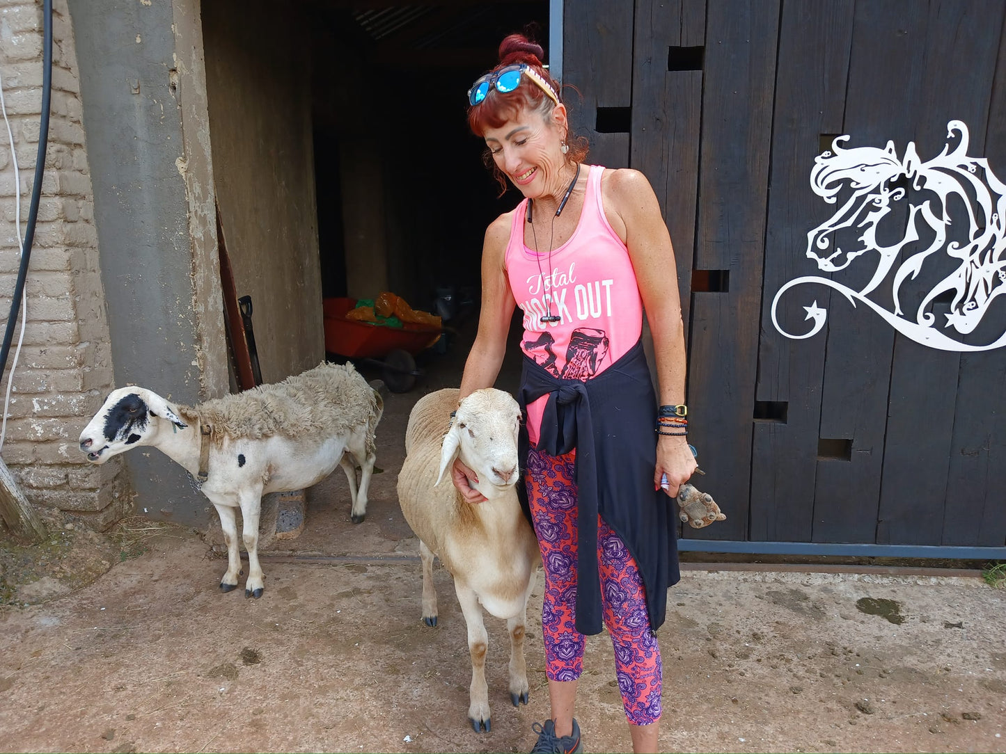 In-Person Animal Reading (Gauteng)